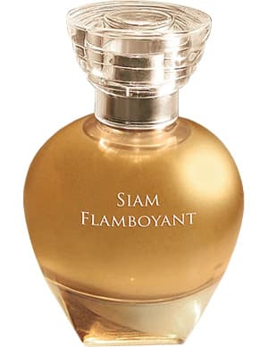 Siam Flamboyant