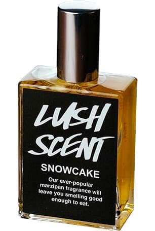 Snowcake 2013