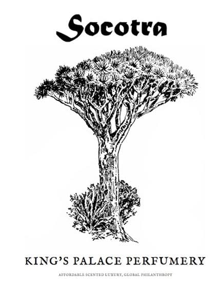 Socotra