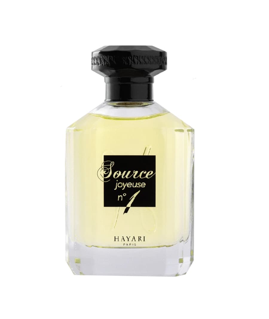 Source Joyeuse No1