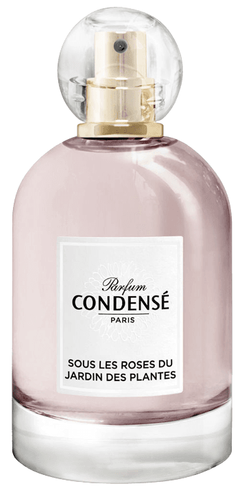 Sous les Roses du Jardin des Plantes
