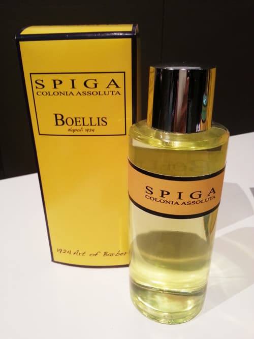Spiga