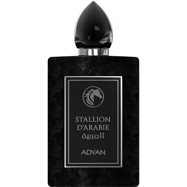 Stallion D'Arabie