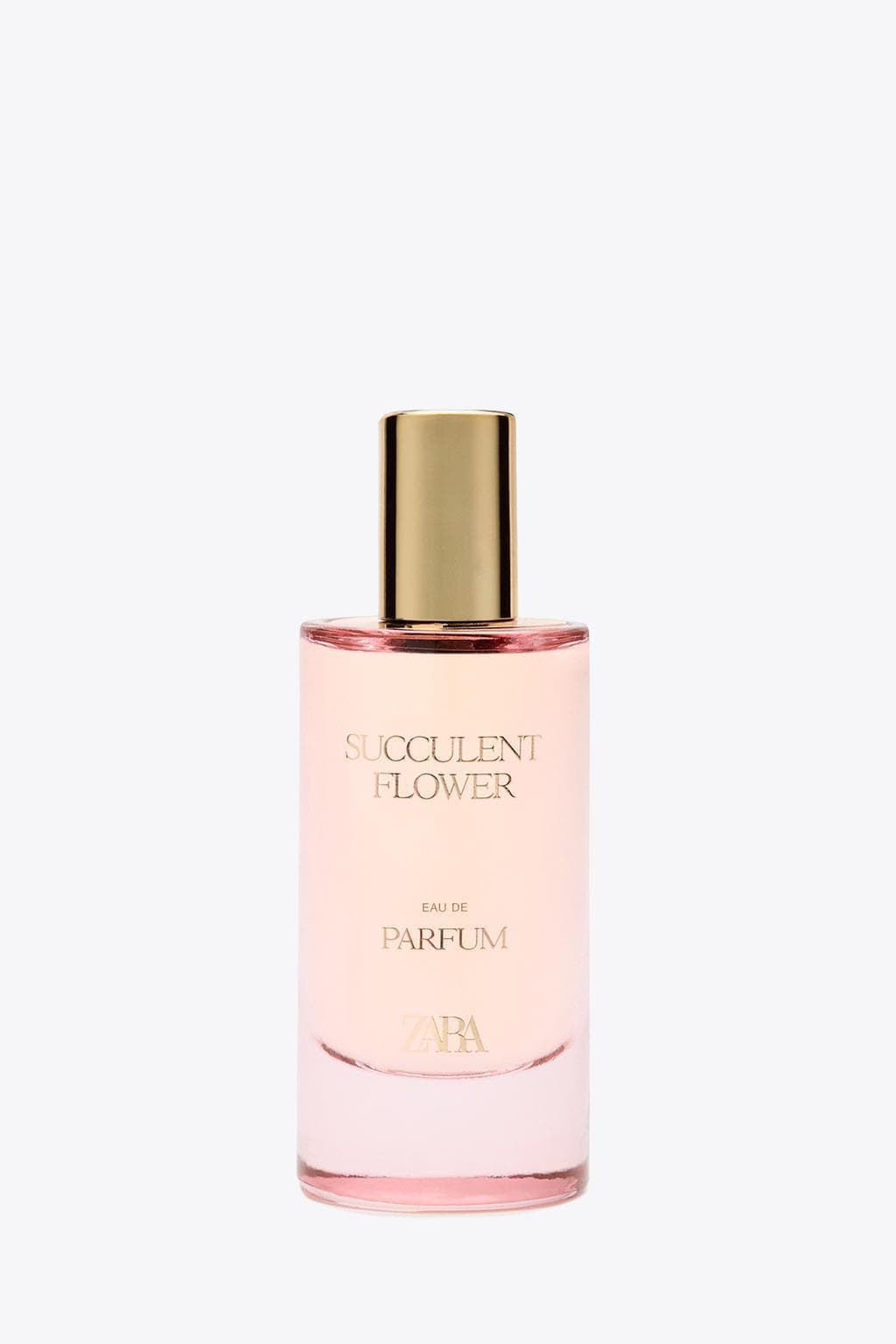 Succulent Flower
