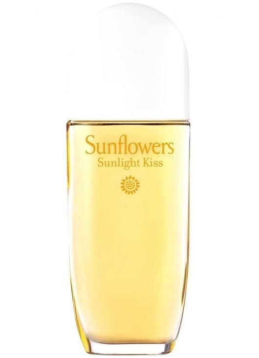 Sunflowers Sunlight Kiss
