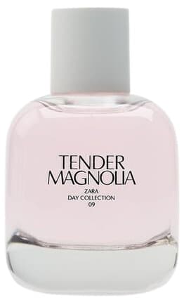 Tender Magnolia
