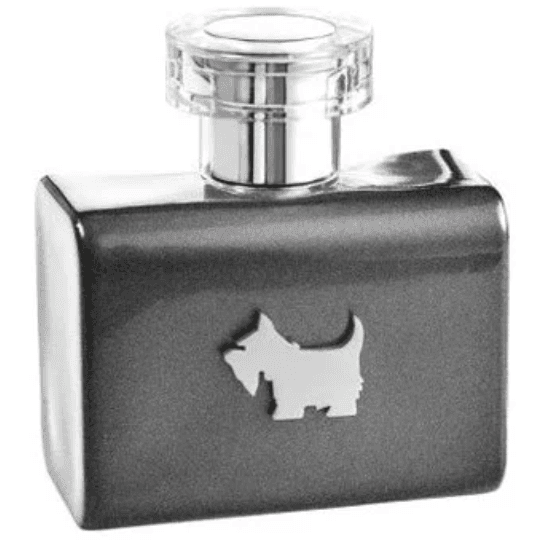 Terrier Grey