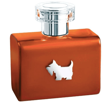 Terrier Orange