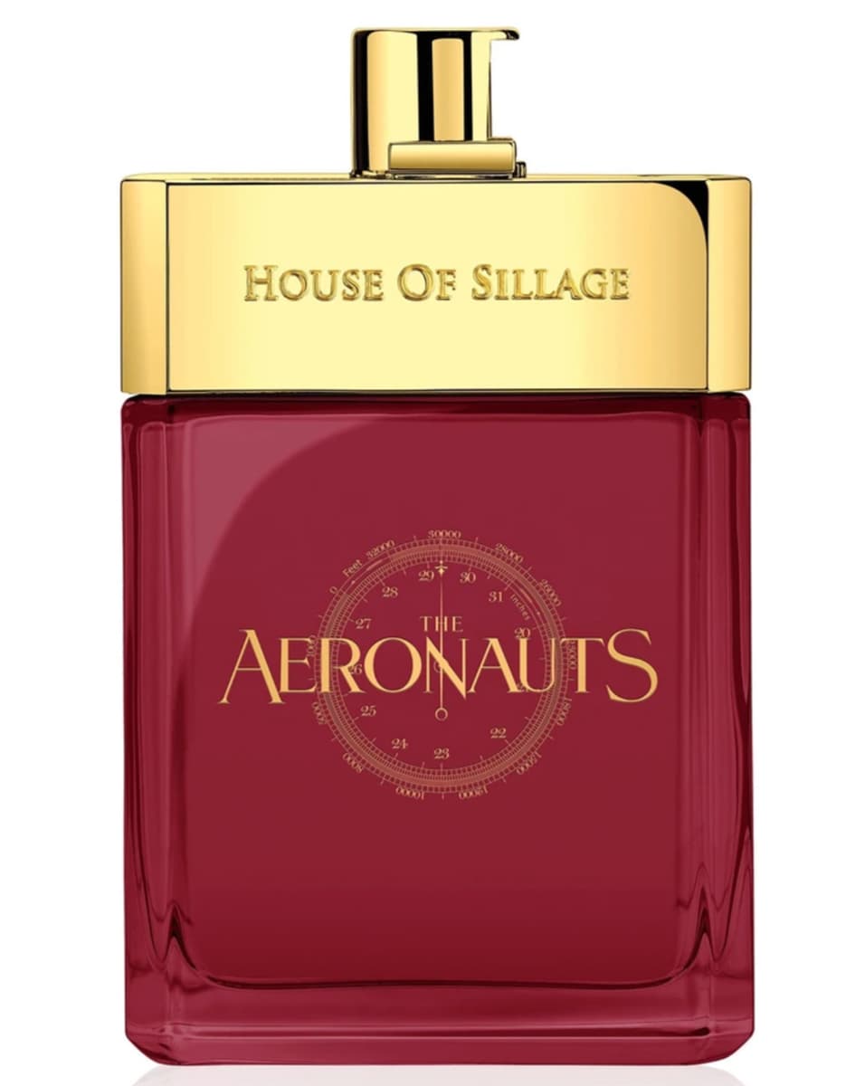 The Aeronauts
