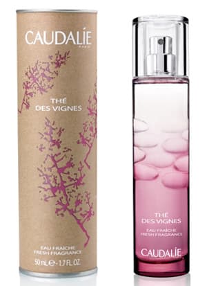 Thé Des Vignes