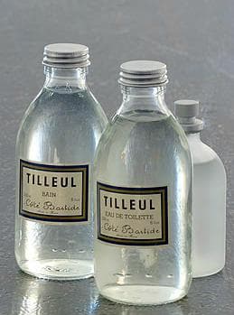Tilleul (Lime Tree)
