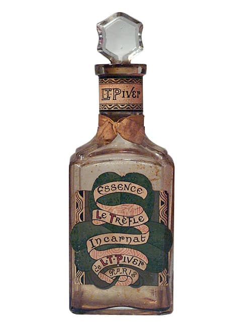 Trèfle Incarnat