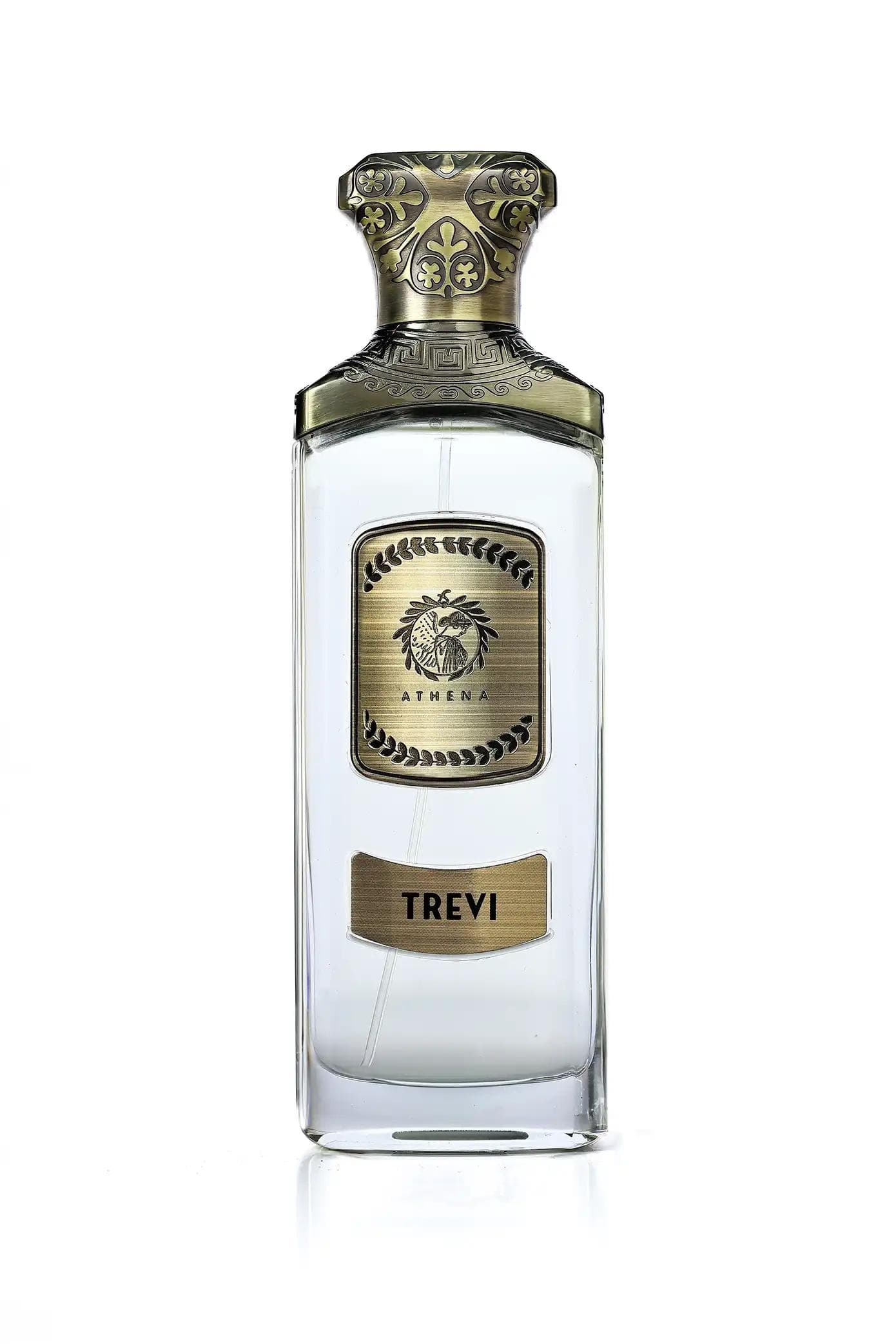 TREVI