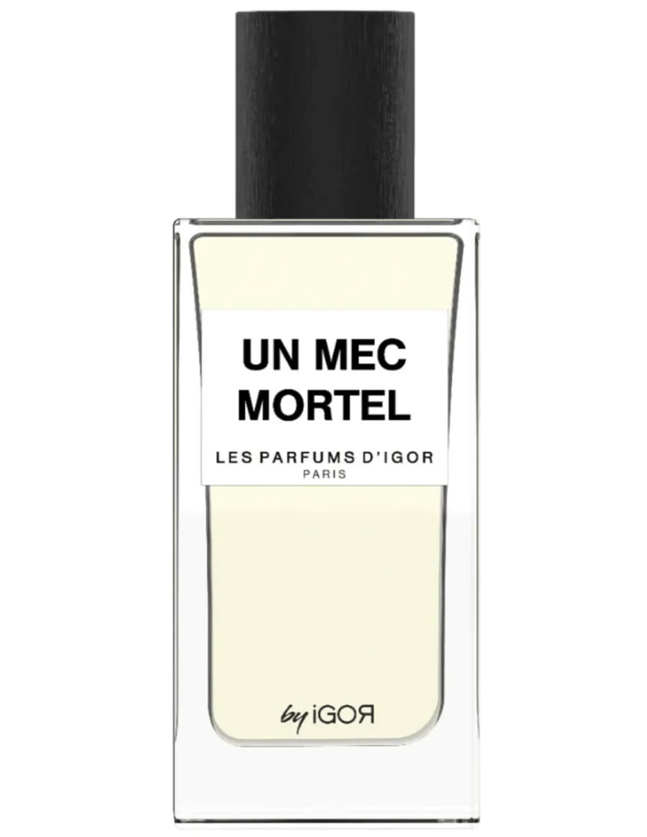 Un Mec Mortel