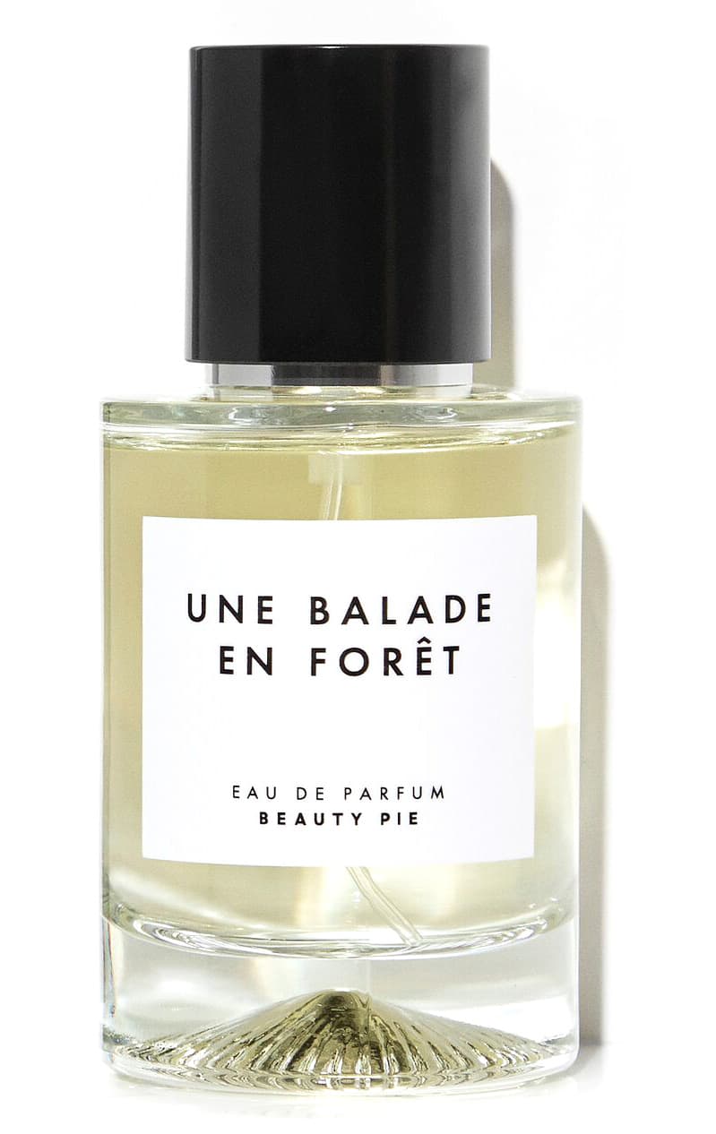 Une Balade En Forêt