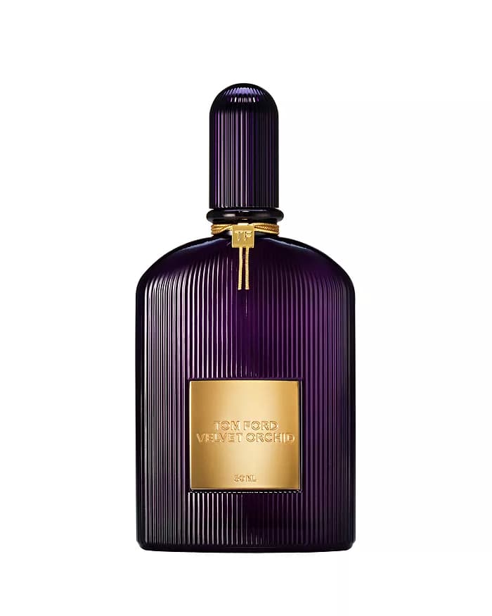 Velvet Orchid