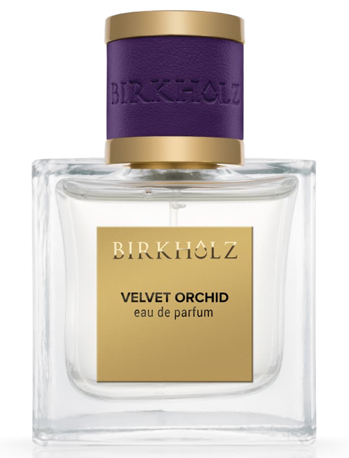 Velvet Orchid