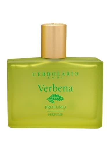 Verbena