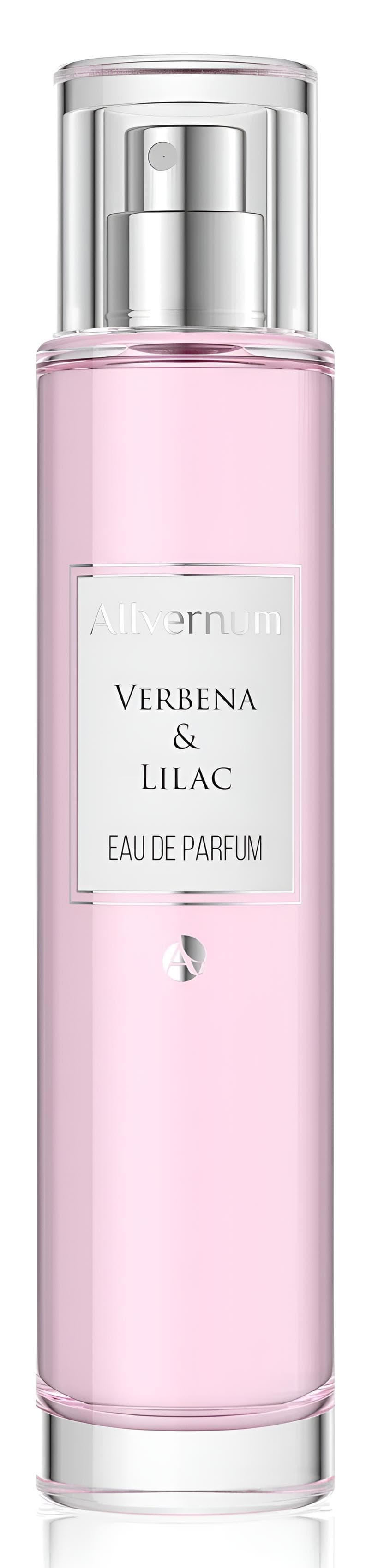 Verbena & Lilac