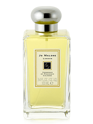 Verbenas of Provence