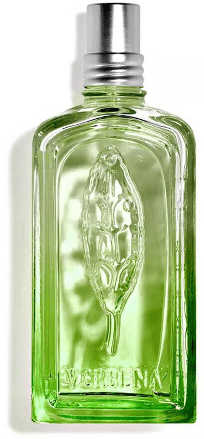 Verveine Cactus