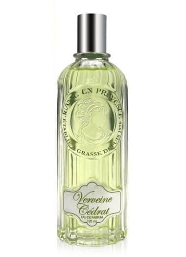 Verveine Cedrat