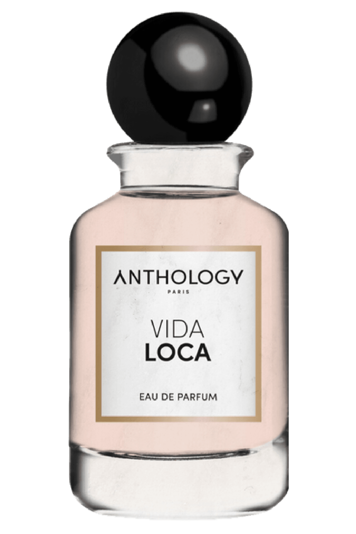 Vida Loca