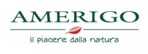 Amerigo
