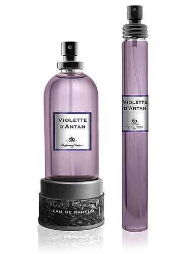 Violette d'Antan