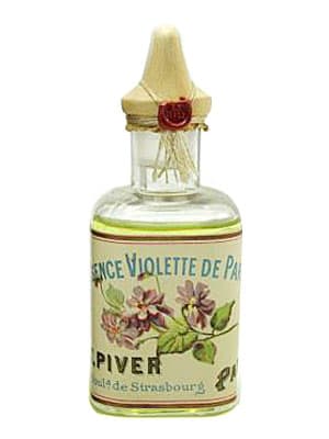 Violette de Parme