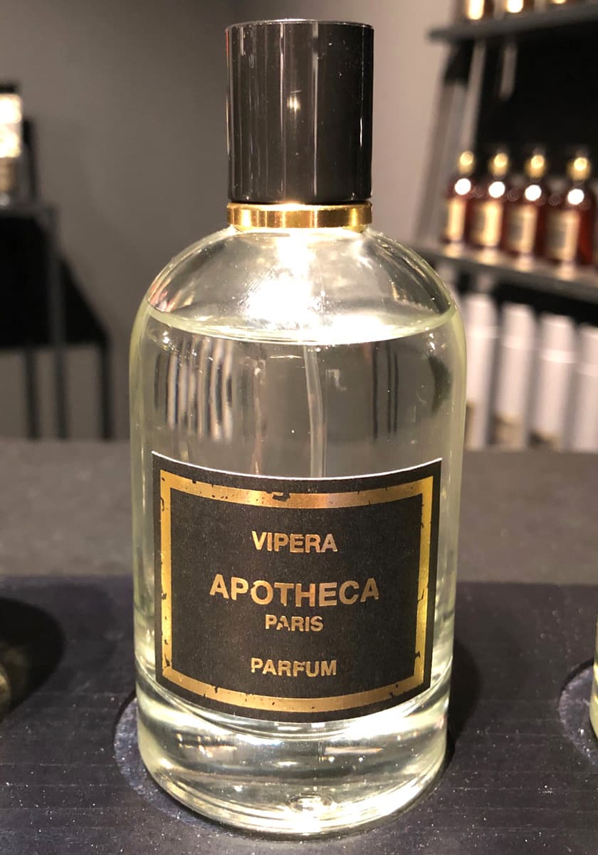 Vipera