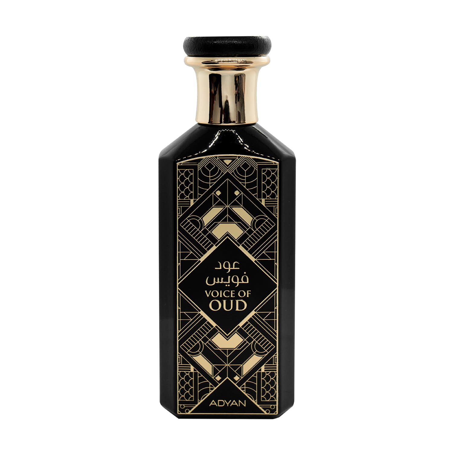 Voice of Oud