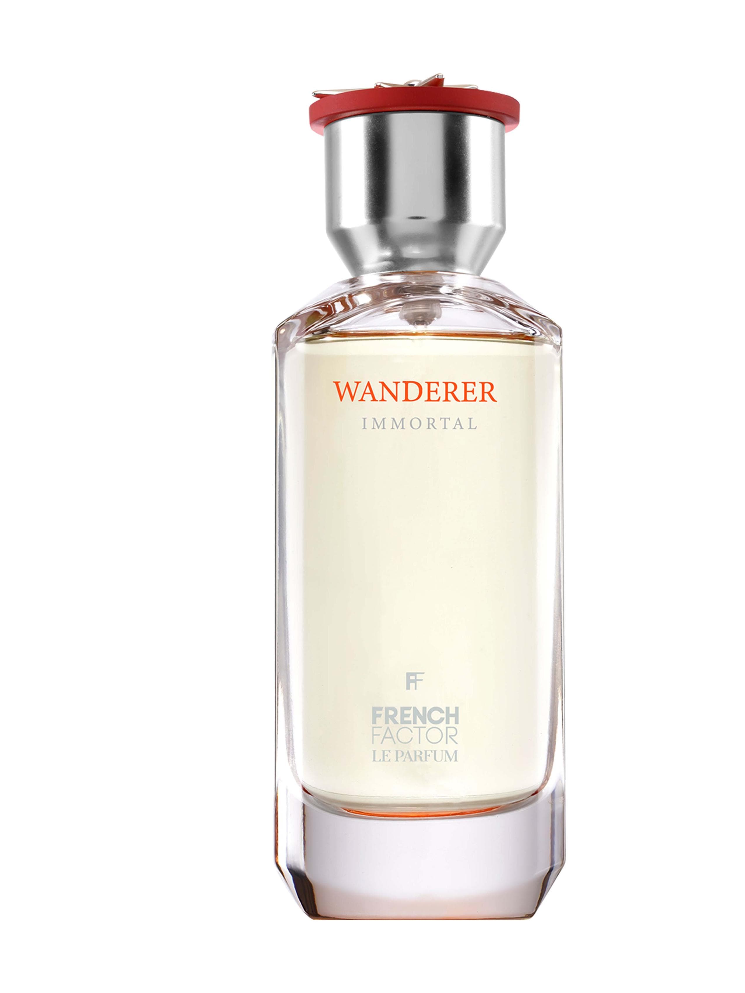 Wanderer Immortal