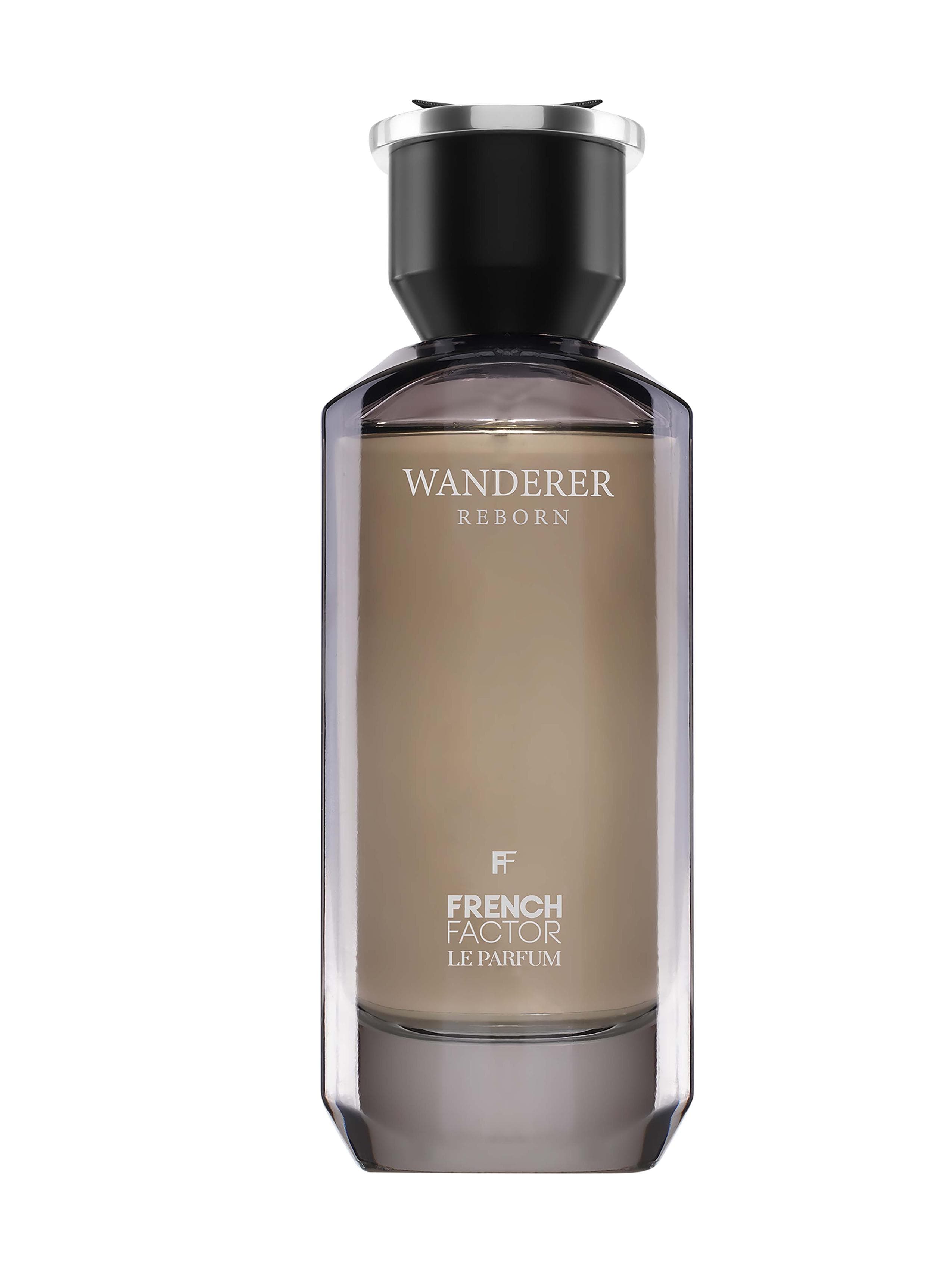 Wanderer Reborn