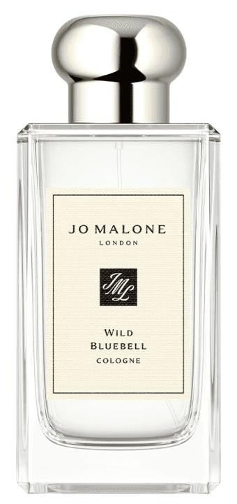 Wild Bluebell