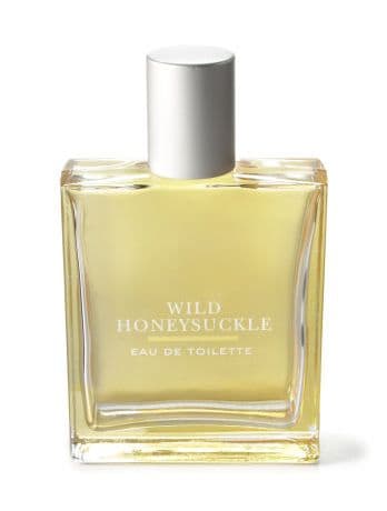 Wild Honeysuckle