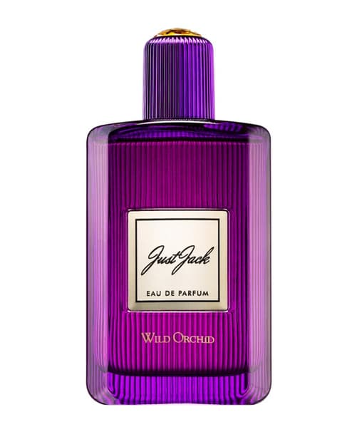 Wild Orchid