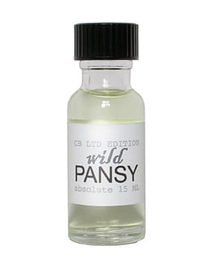 Wild Pansy