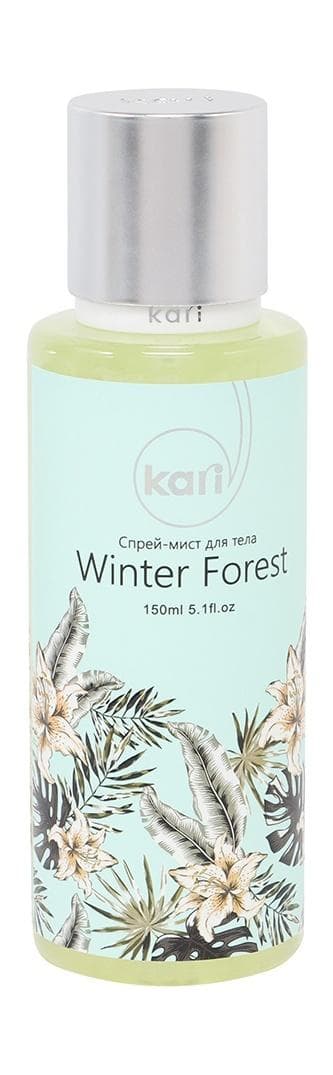 Winter Forest Mist