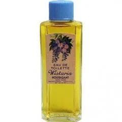 Wistaria
