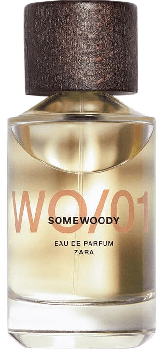 WO/01 Somewoody