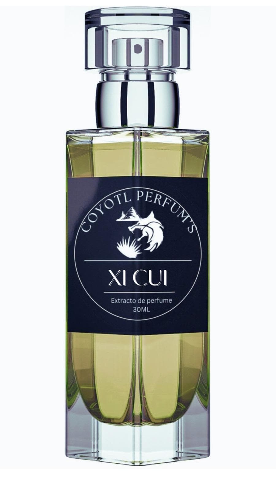 Xi Cui