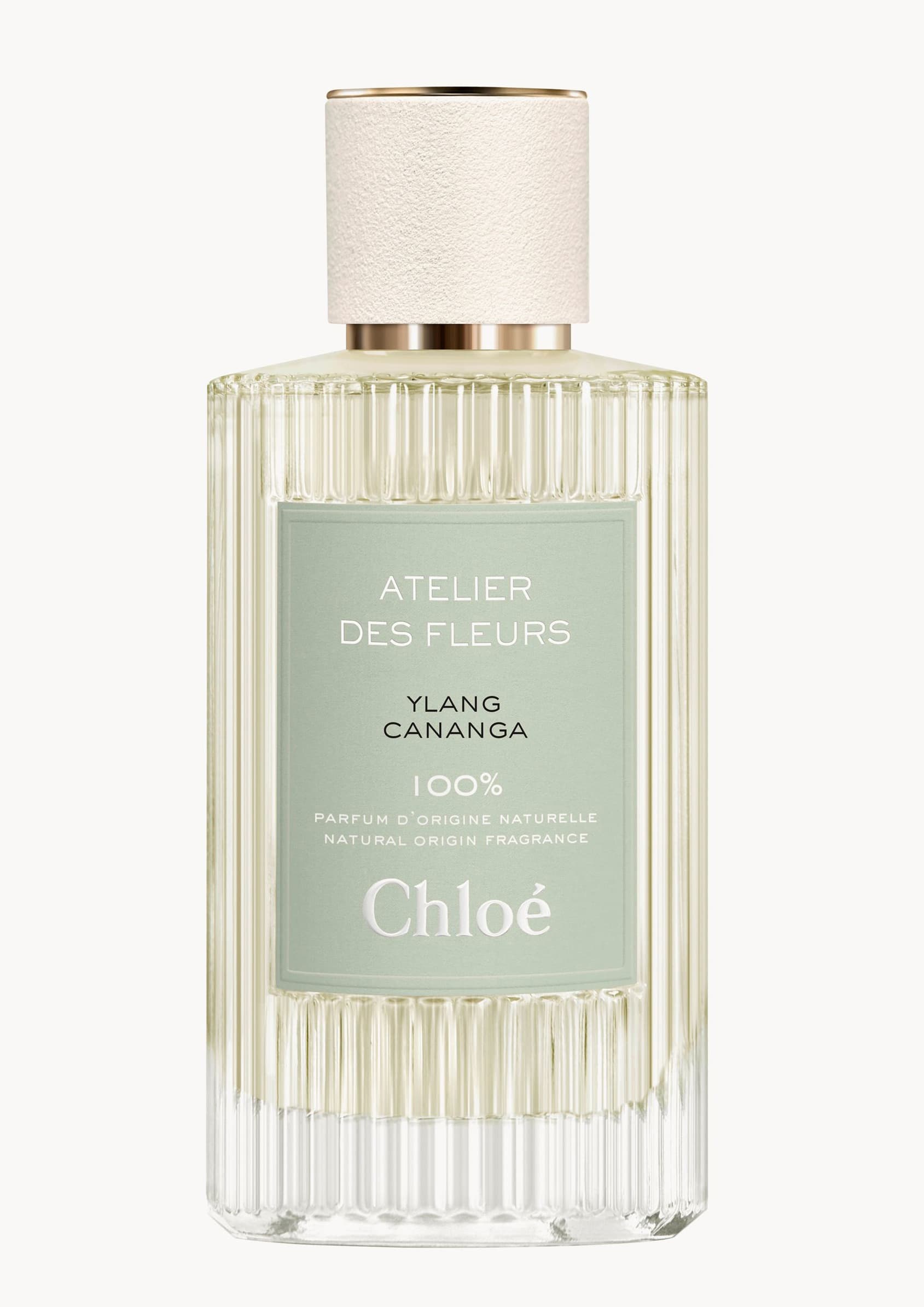 Ylang Cananga
