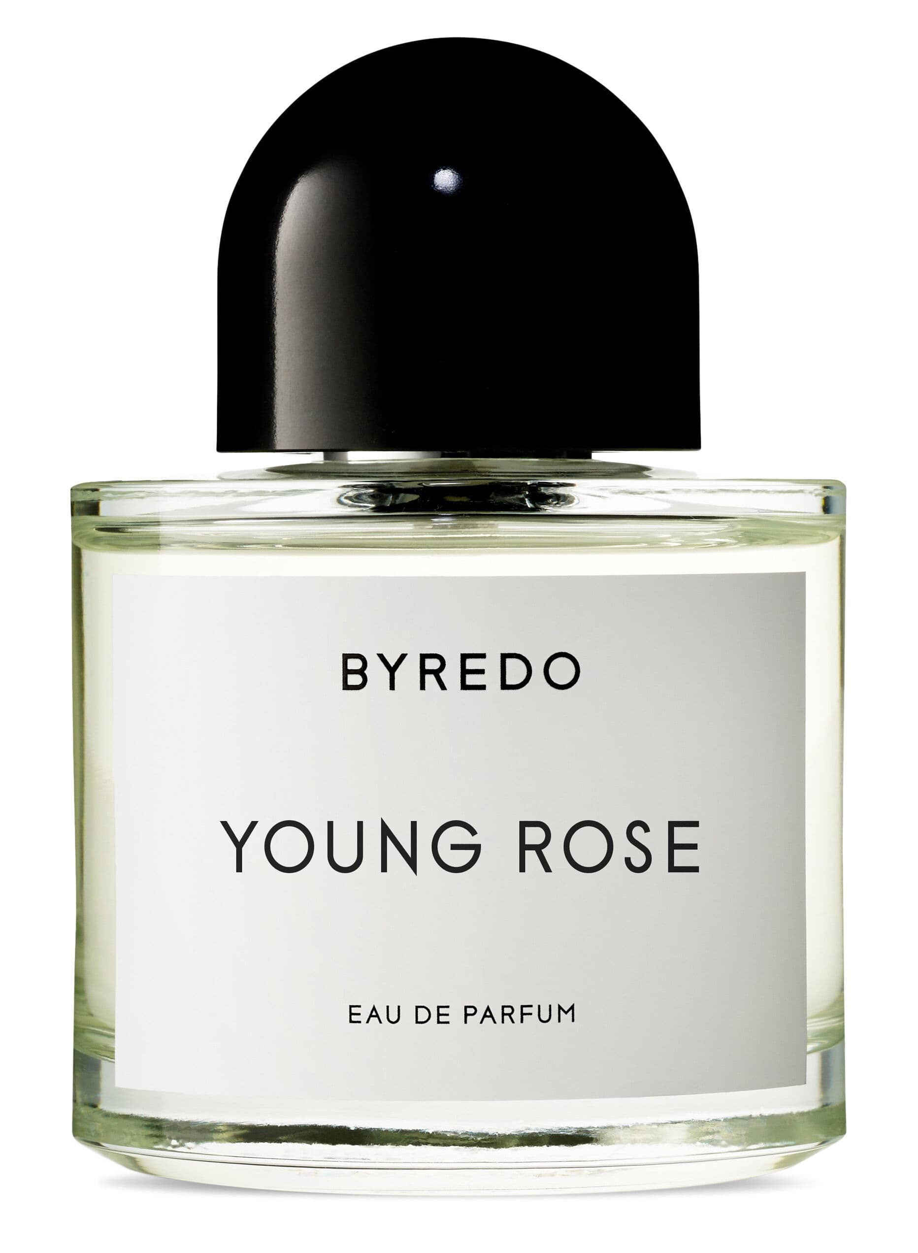 Young Rose