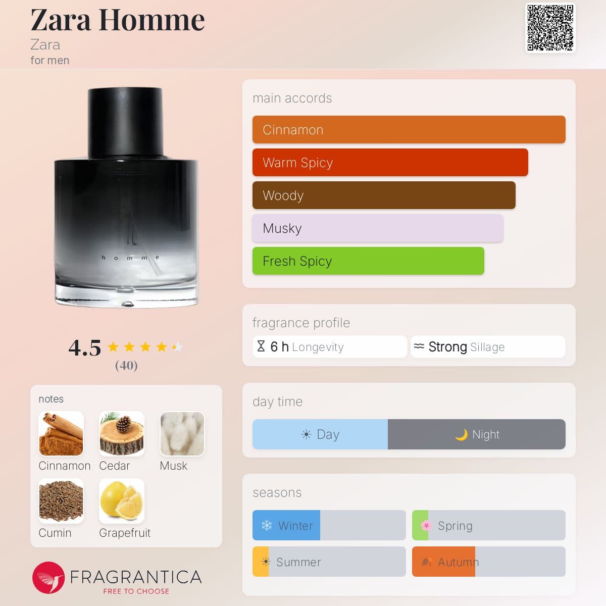 Zara Homme
