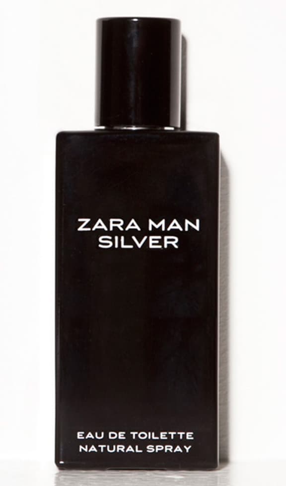 Zara Man Silver