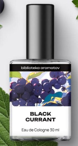 Black Currant