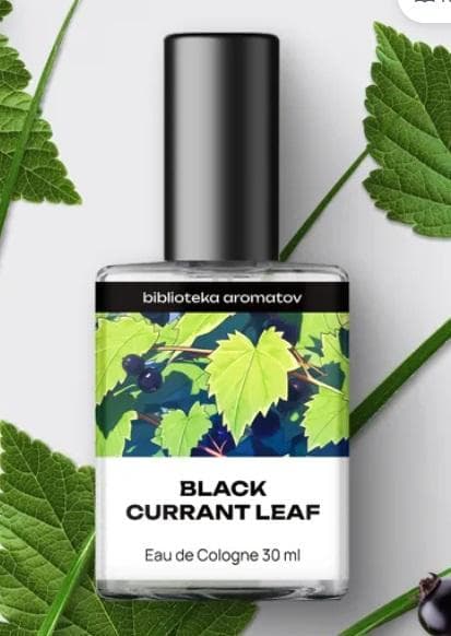 Black Currant Leaf