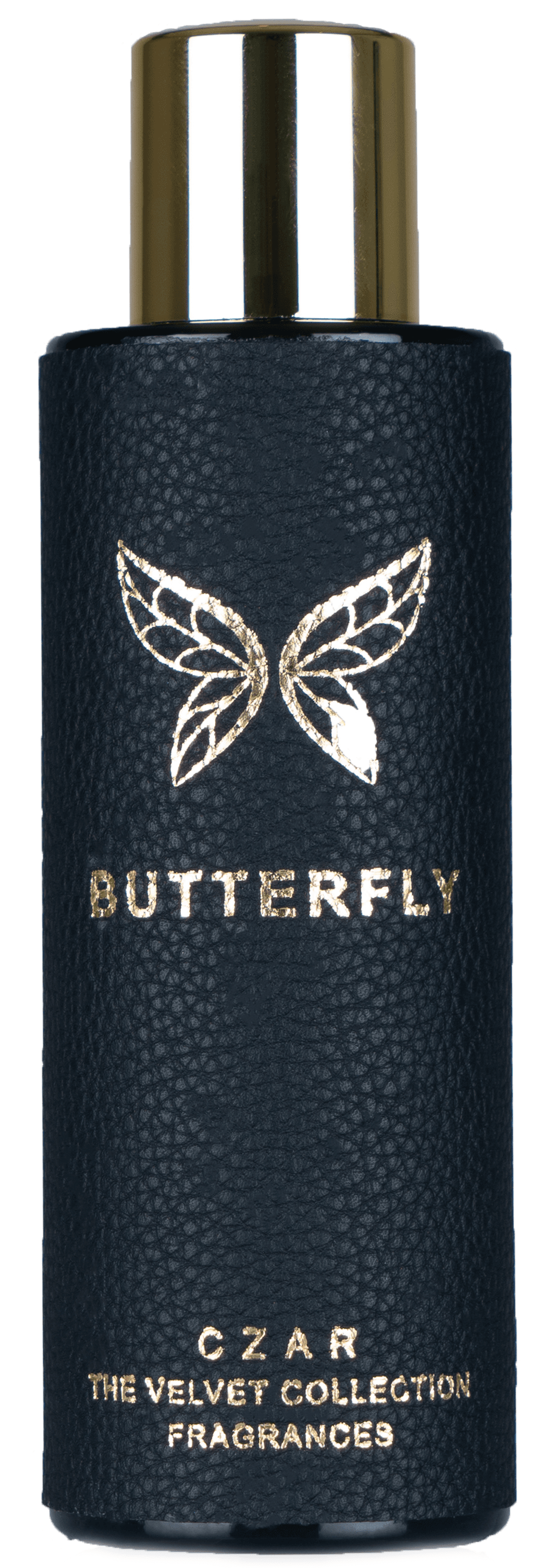 Butterfly X Aslan Gülçiçek