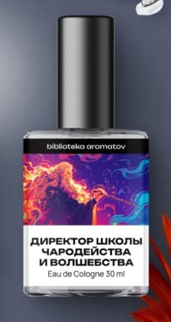 Директор Школы чародейства и волшебства (Headmaster of The School of Witchcraft and Wizardry)